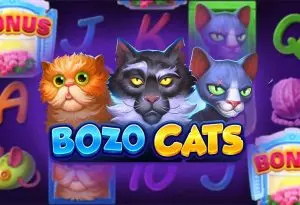 bozo cats (ブーゾーキャッツ ) のレビュー