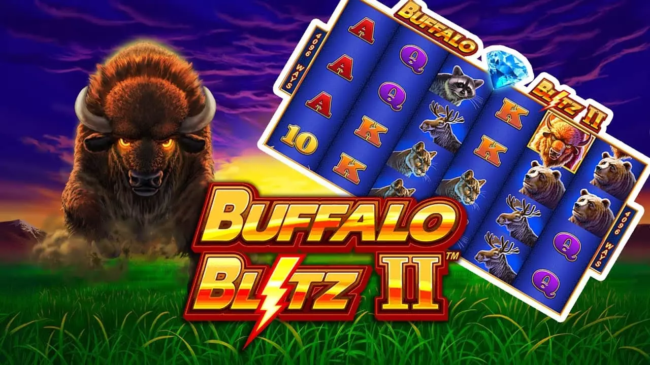buffalo bitz2 (バッファロー・ビッツツー) のレビュー